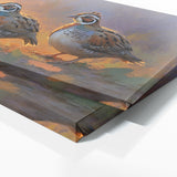 Quail Morning Melody 46