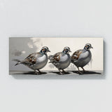 Quail Shades Of 96