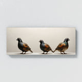 Quail Shadow Dance 88