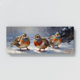 Quail Snowy Serenade 57