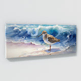 Sandpiper Azure Escape 33