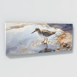 Sandpiper Dancing Reflections 28