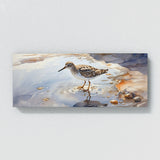 Sandpiper Dancing Reflections 28