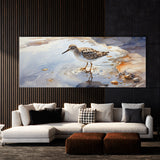 Sandpiper Dancing Reflections 28
