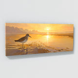 Sandpiper Dawns Golden Shore 1