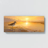 Sandpiper Dawns Golden Shore 1