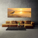 Sandpiper Dawns Golden Shore 1