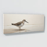 Sandpiper Minimalist Elegance 89