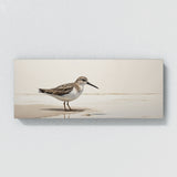 Sandpiper Minimalist Elegance 89