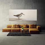 Sandpiper Minimalist Elegance 89