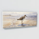Sandpiper Muted Shore Serenade 39