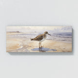 Sandpiper Muted Shore Serenade 39