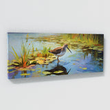 Sandpiper Vivid Wetland Symphony 52