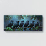 Starling Colorful Symphony 4