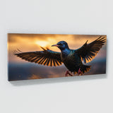 Starling Graceful Dusk Flight 64