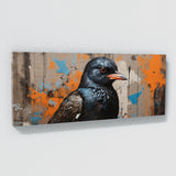 Starling Urban Graffiti 97