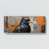 Starling Urban Graffiti 97