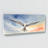 Tern Graceful Flight 30