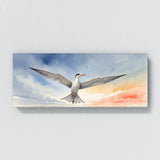 Tern Graceful Flight 30