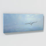 Tern Misty Glide 7