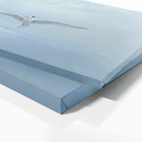 Tern Misty Glide 7