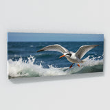 Tern Oceanic Dive 69