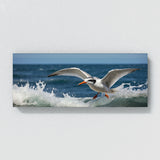 Tern Oceanic Dive 69
