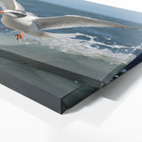 Tern Oceanic Dive 69