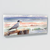 Tern Piers Calm Colors 24