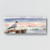 Tern Piers Calm Colors 24