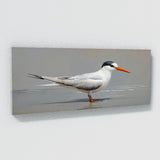 Tern Sleek Minimalism 94