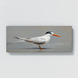 Tern Sleek Minimalism 94