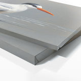Tern Sleek Minimalism 94