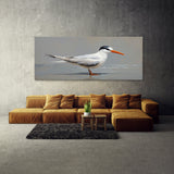 Tern Sleek Minimalism 94