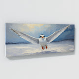 Tern Snowy Flight 59