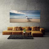 Tern Solitary Shores 71