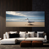 Tern Solitary Shores 71