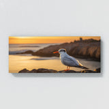 Tern Sunset 64