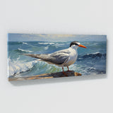 Tern Turbulent Horizon 52