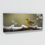 Warbler Frozen Melody 76
