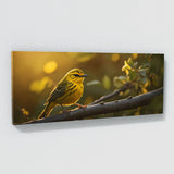 Warbler Golden Glow 64