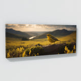 Warbler Majestic Scene 72