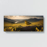 Warbler Majestic Scene 72