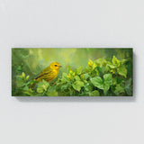 Warbler Melody In Motion 12