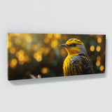 Warbler Plumage Portrait 70