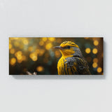 Warbler Plumage Portrait 70