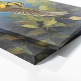Warbler Whimsy 50