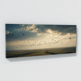 Swallow Odyssey 63