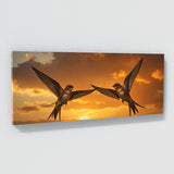 Swallow Sunset 66