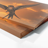 Swallow Sunset 66